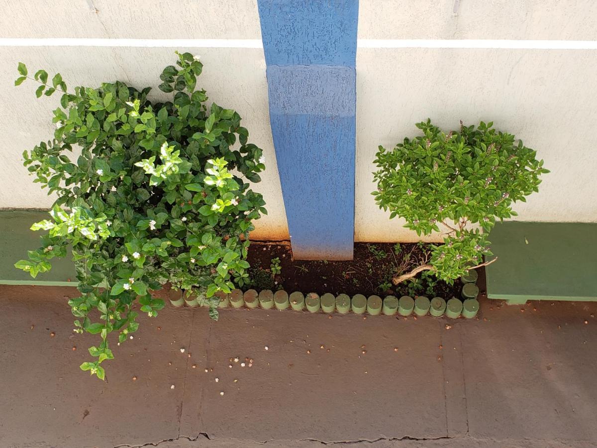 Hotel Flamboia Araraquara Exterior photo